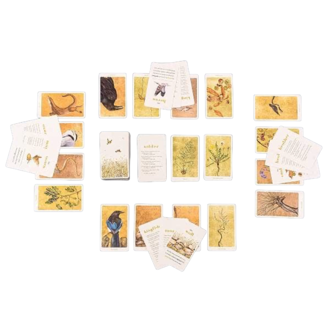 The Lost Words Card Game