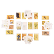The Lost Words Card Game