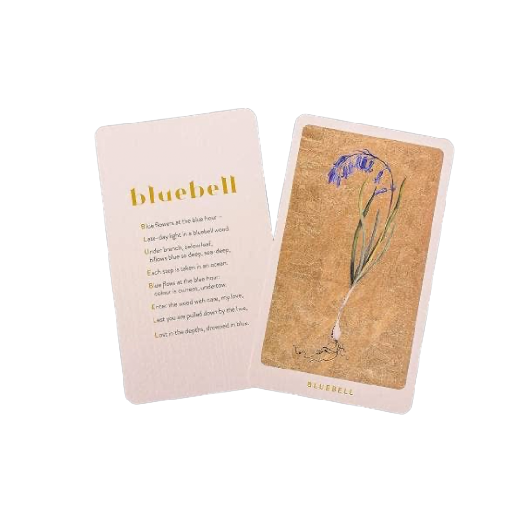 The Lost Words Card Game