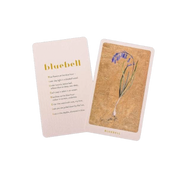 The Lost Words Card Game
