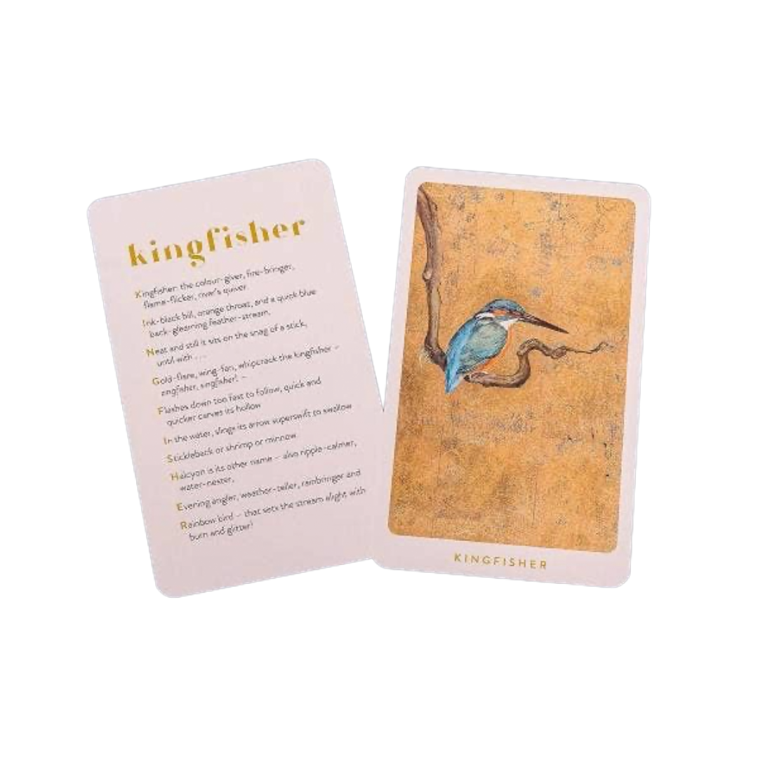 The Lost Words Card Game