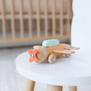 Airplane Toy