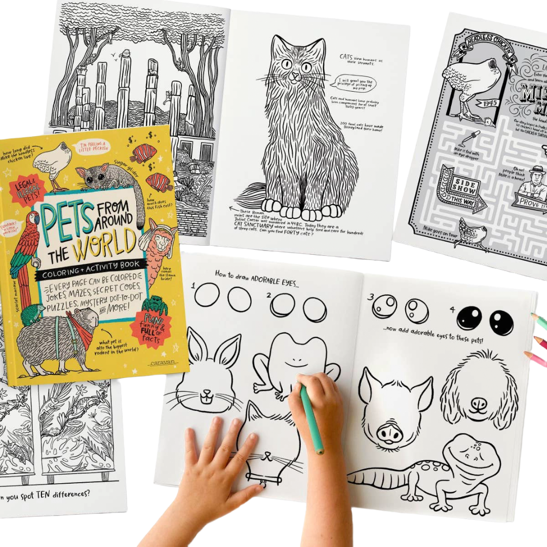 Your Very Favorite Activity Book