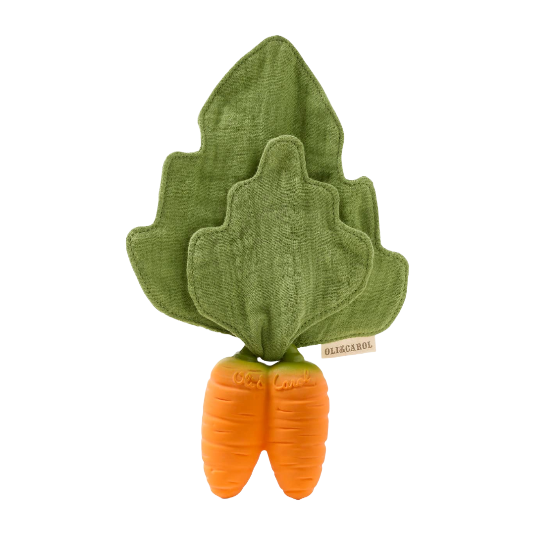 Cathy the Carrot Mini DouDou Teether
