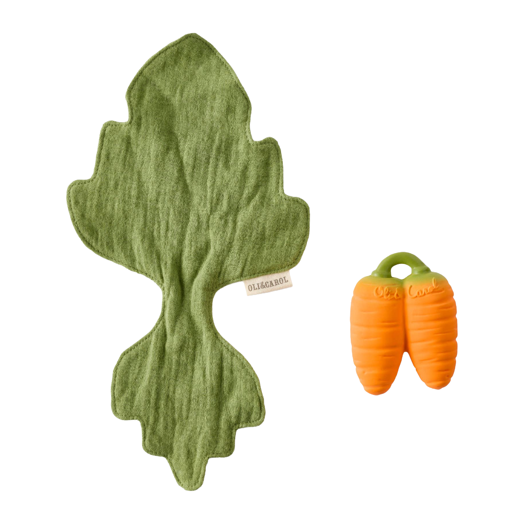 Cathy the Carrot Mini DouDou Teether