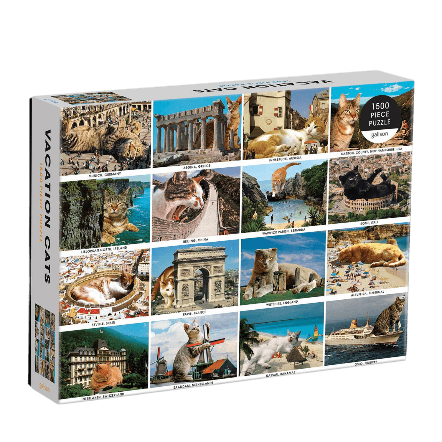 Jigsaw puzzle box featuring cats in various travel destinations