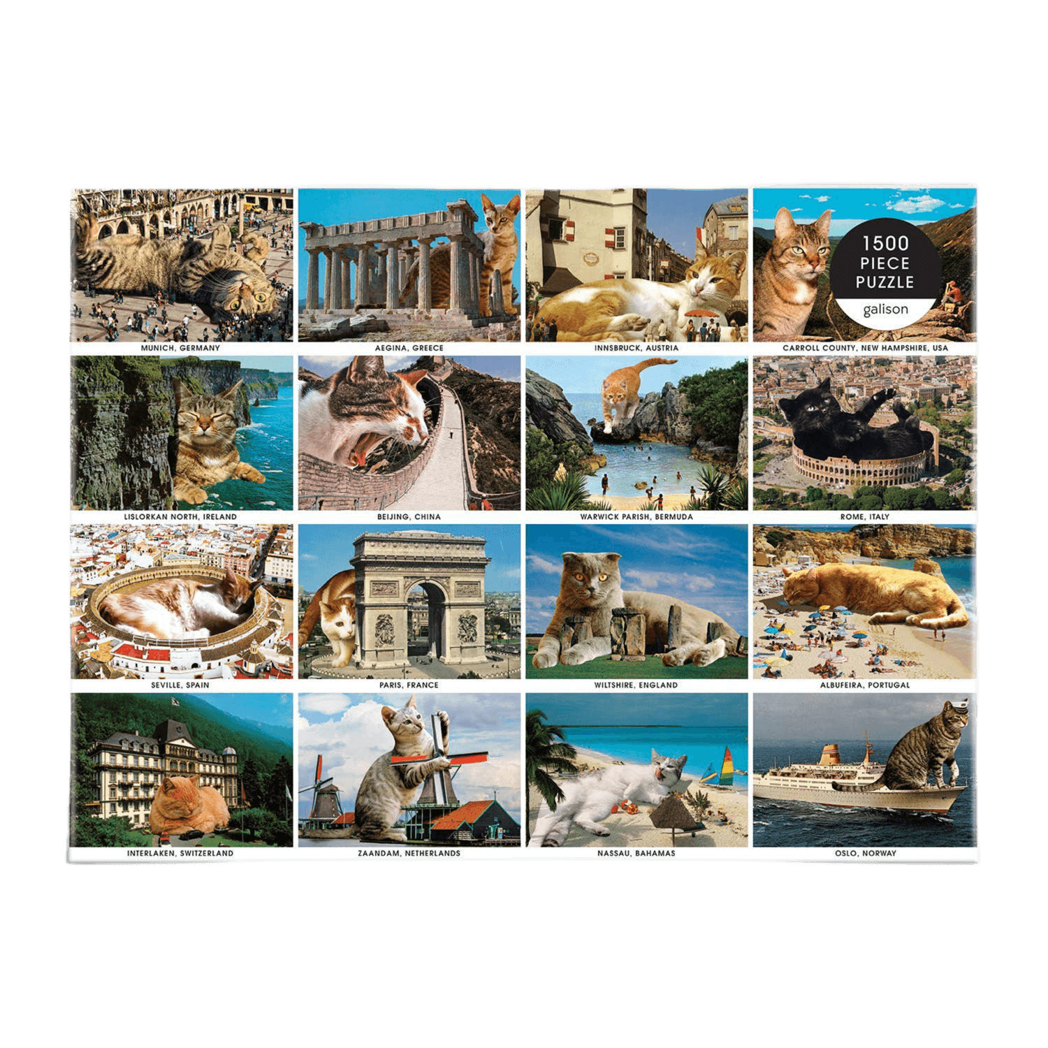 Collection of cat-themed puzzles with various locations on a black background
