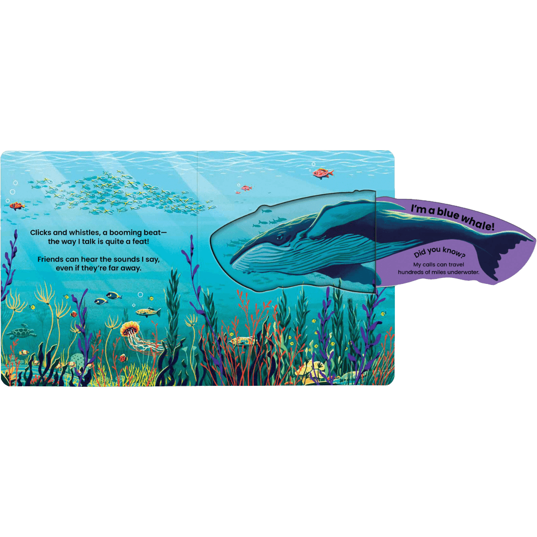 Children's book open with pages of a whale illustration on an underwater scene.