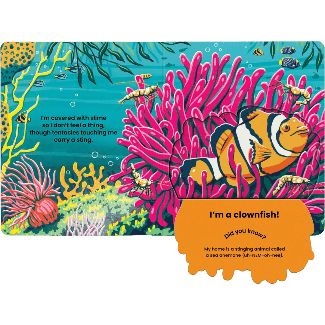 Children's open book with pages of a colorful underwater scene featuring a clownfish.