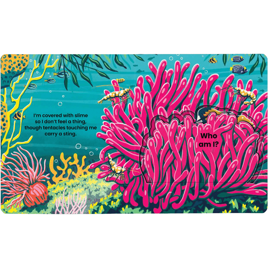 Colorful open book with pages of a coral and marine life design.
