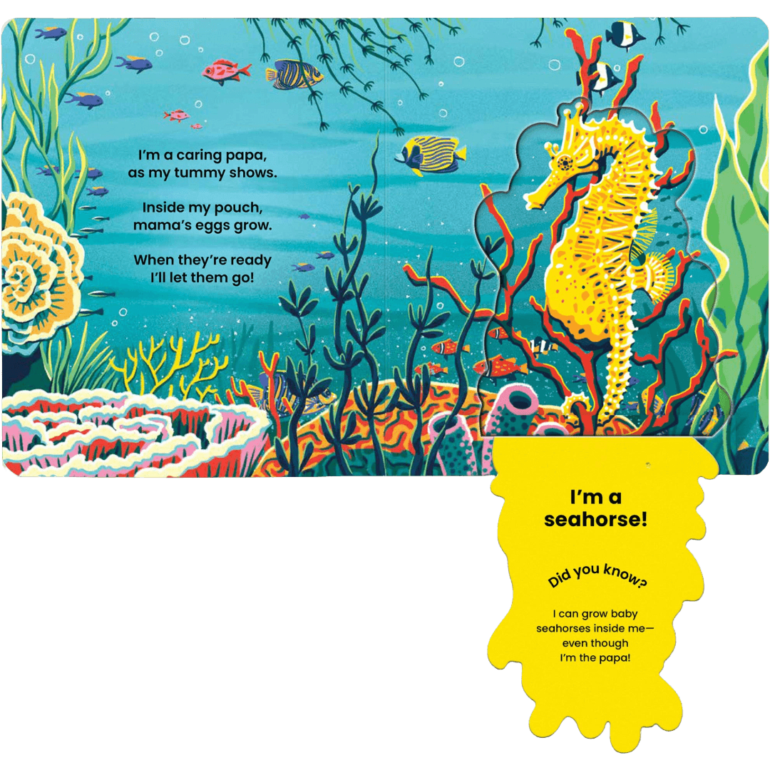 Children's book open with pages of a seahorse illustration and underwater scene.