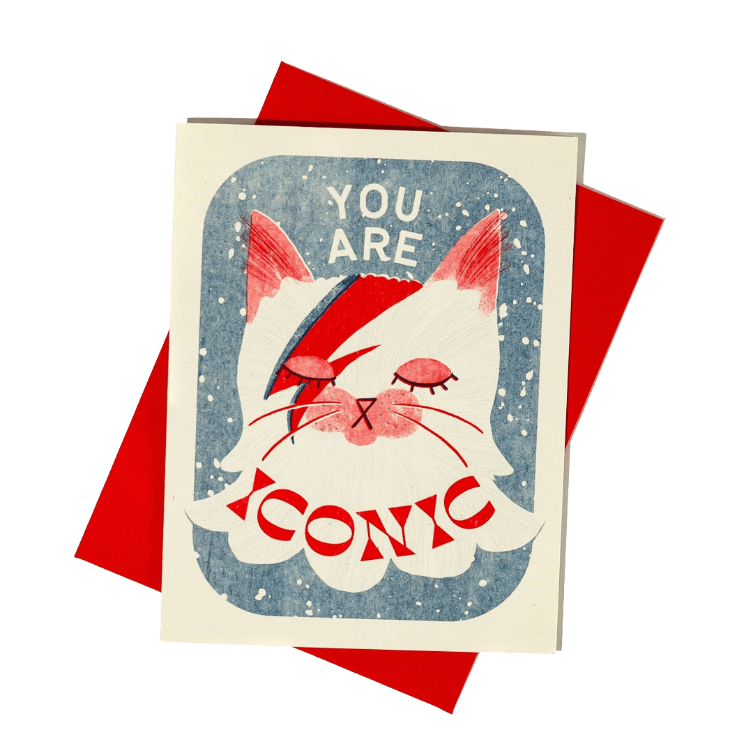 Greeting card with a Bowie Inspired cat illustration and text 'You are iconic' on a red envelope.