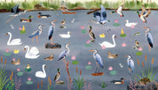 Illustration of various birds and plants on a body of water