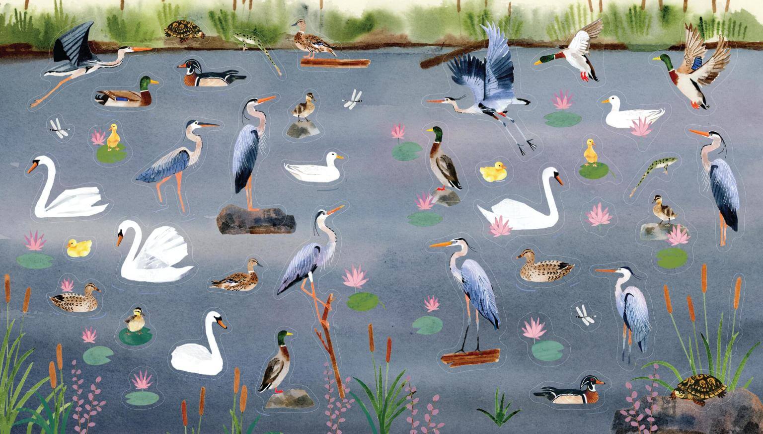 Illustration of various birds and plants on a body of water