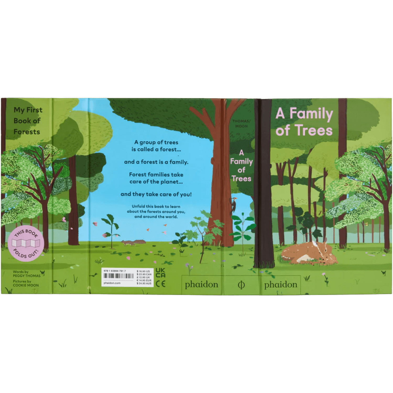 A Family Of Trees: My First Book Of Forests | PHAIDON
