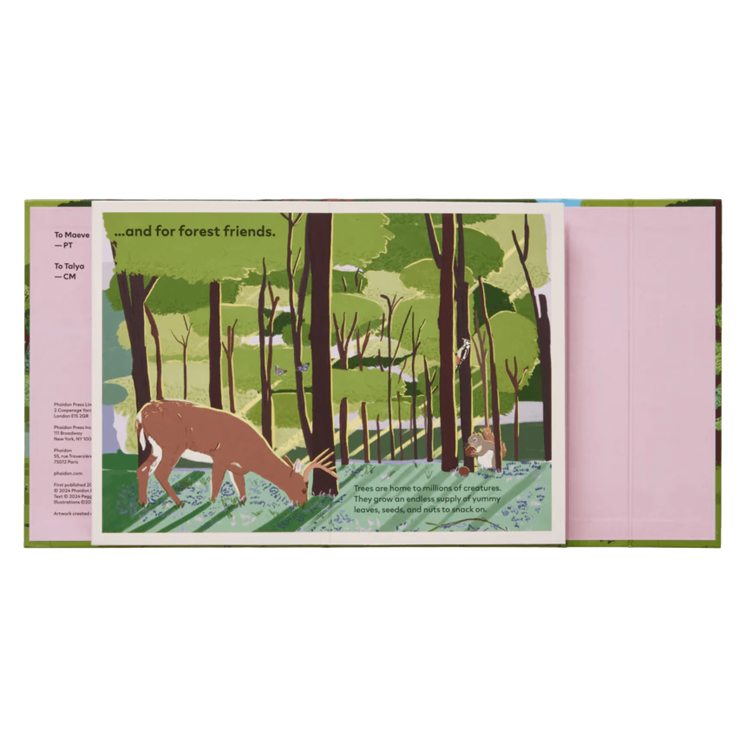 A Family Of Trees: My First Book Of Forests | PHAIDON
