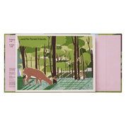 A Family Of Trees: My First Book Of Forests | PHAIDON