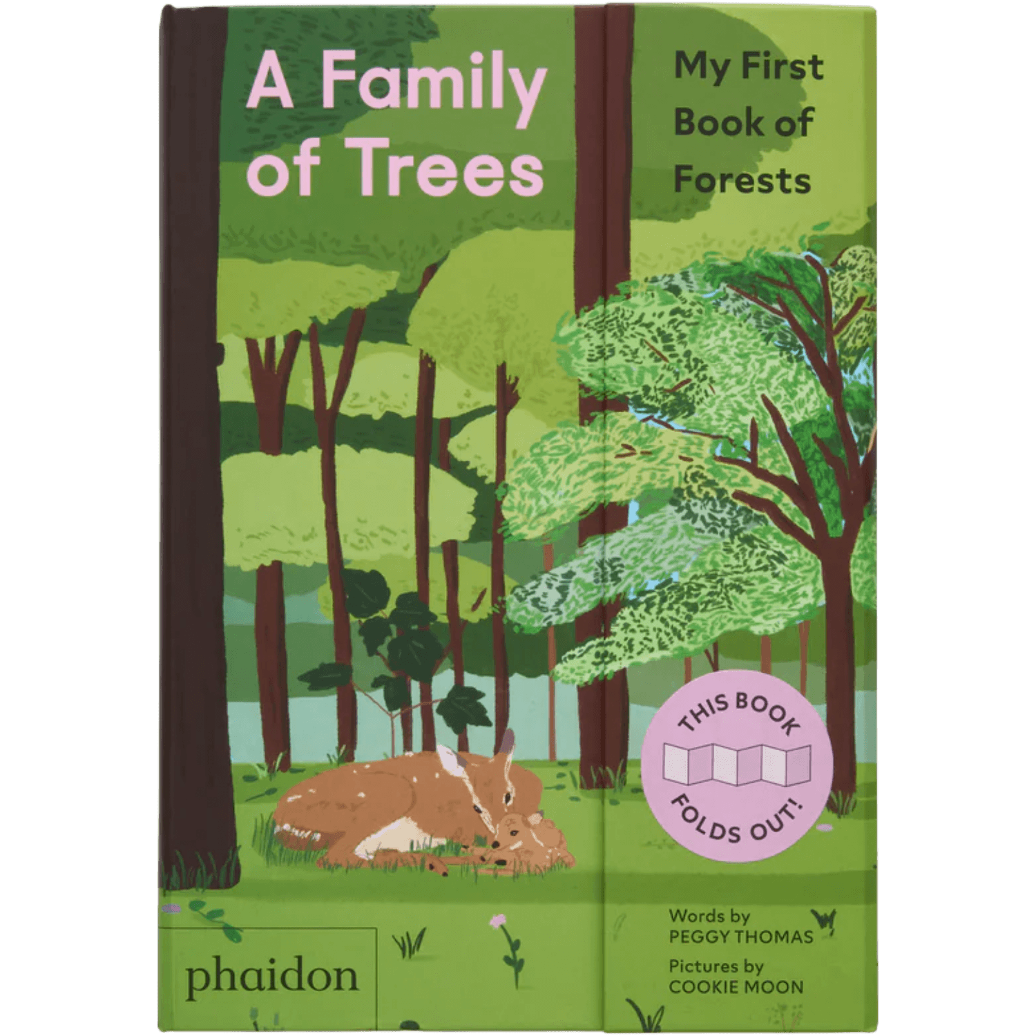 A Family Of Trees: My First Book Of Forests | PHAIDON