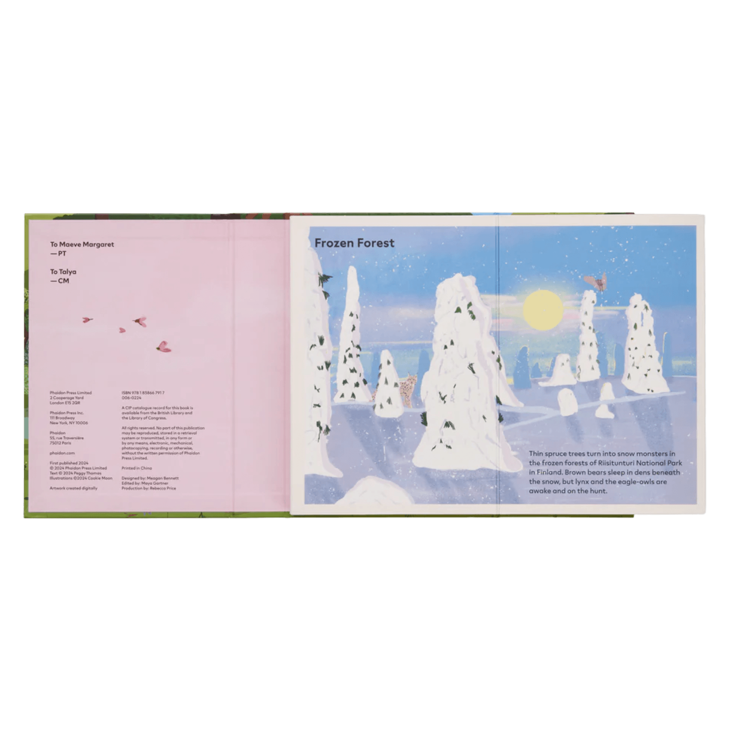 A Family Of Trees: My First Book Of Forests | PHAIDON