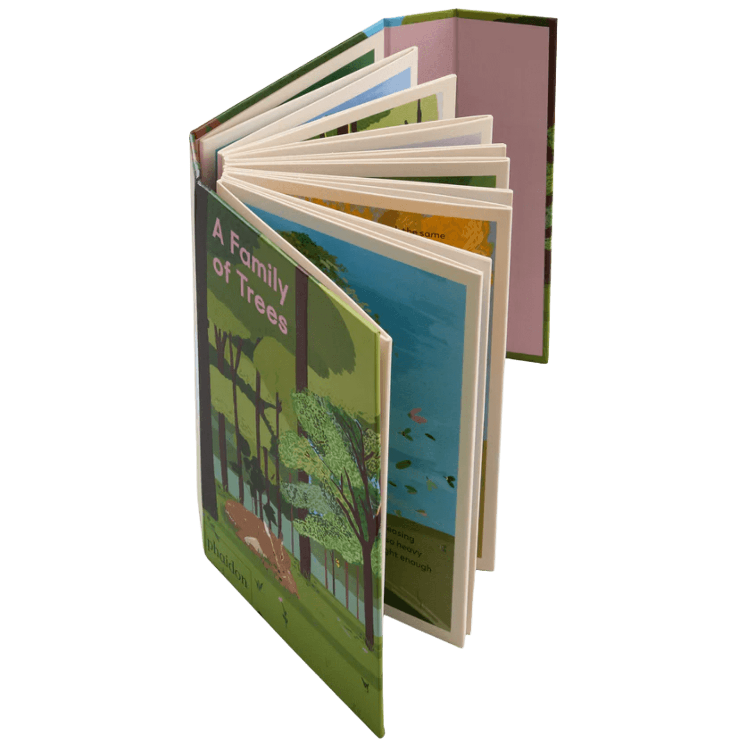 A Family Of Trees: My First Book Of Forests | PHAIDON