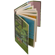 A Family Of Trees: My First Book Of Forests | PHAIDON