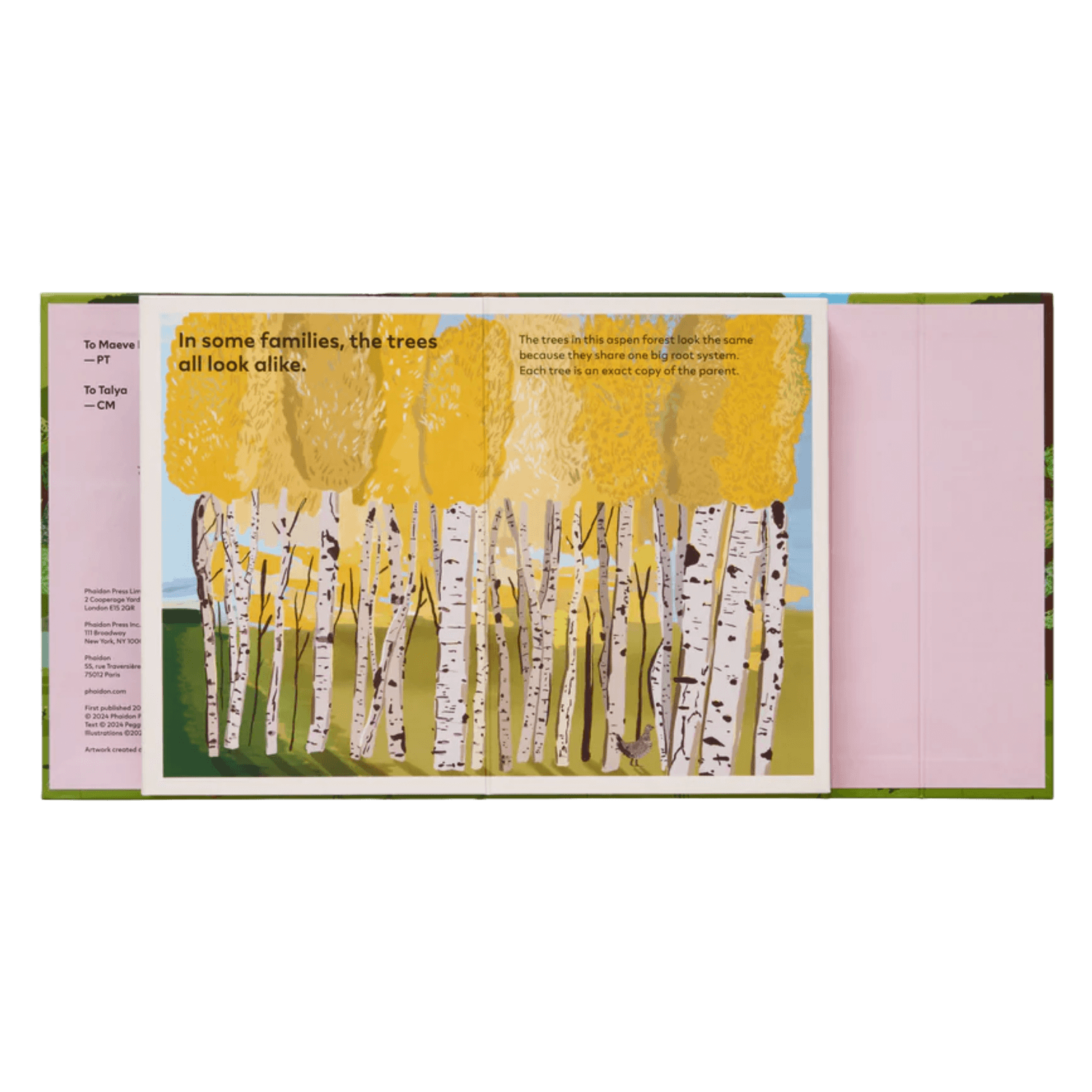 A Family Of Trees: My First Book Of Forests | PHAIDON