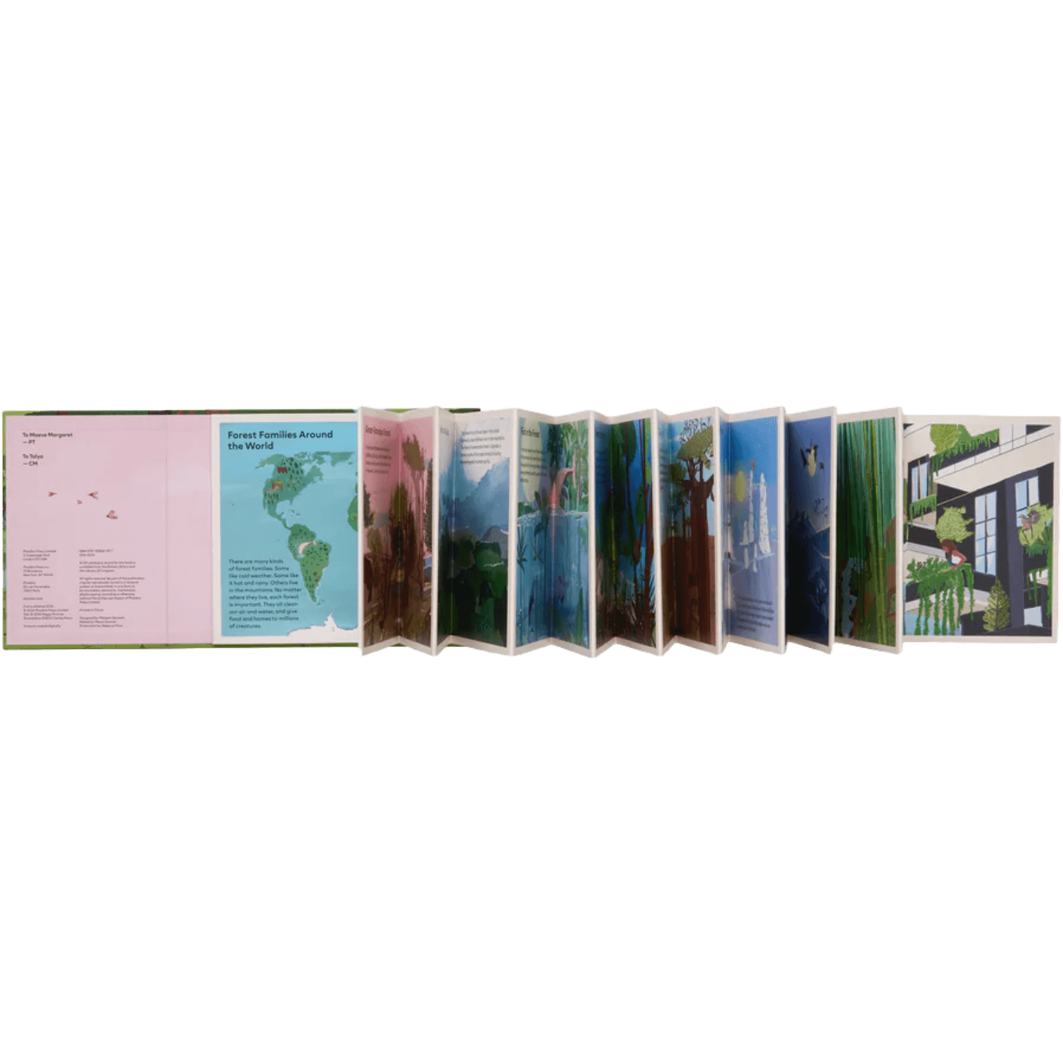 A Family Of Trees: My First Book Of Forests | PHAIDON