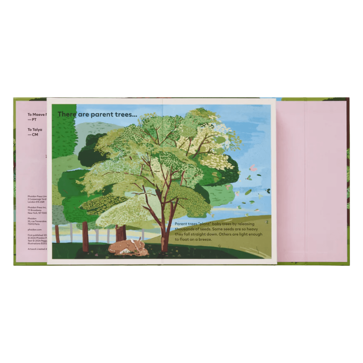 A Family Of Trees: My First Book Of Forests | PHAIDON