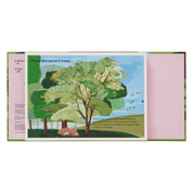 A Family Of Trees: My First Book Of Forests | PHAIDON