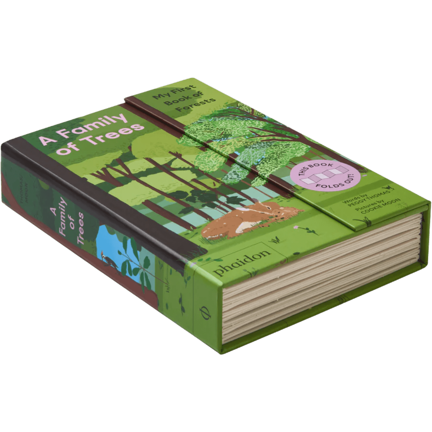 A Family Of Trees: My First Book Of Forests | PHAIDON