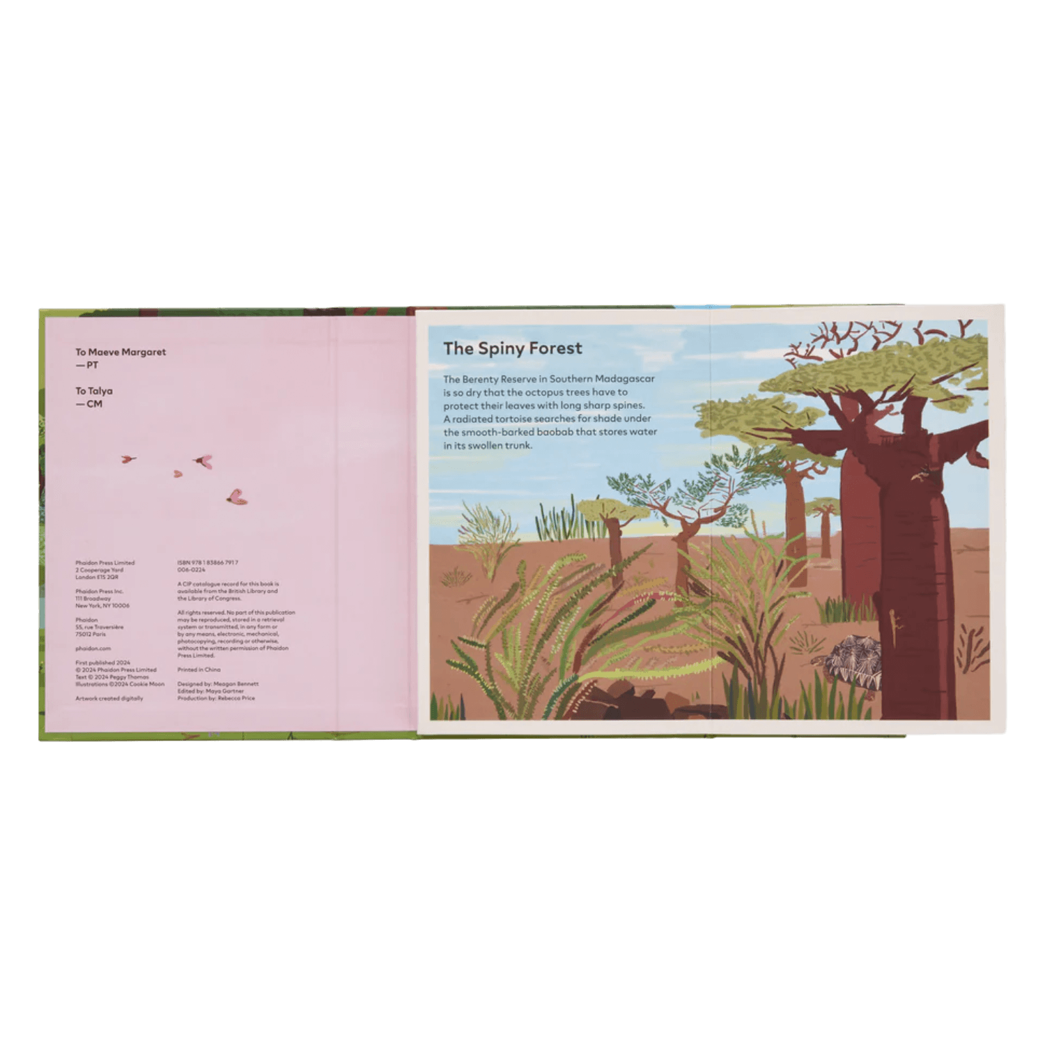 A Family Of Trees: My First Book Of Forests | PHAIDON