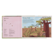 A Family Of Trees: My First Book Of Forests | PHAIDON