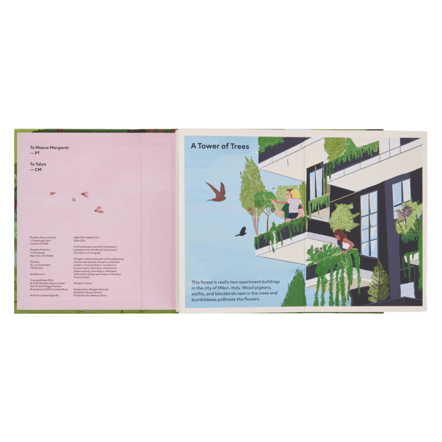 A Family Of Trees: My First Book Of Forests | PHAIDON