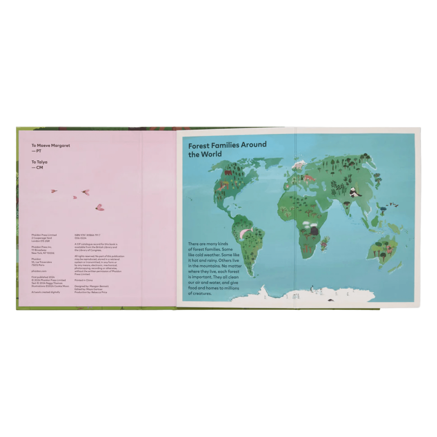 A Family Of Trees: My First Book Of Forests | PHAIDON