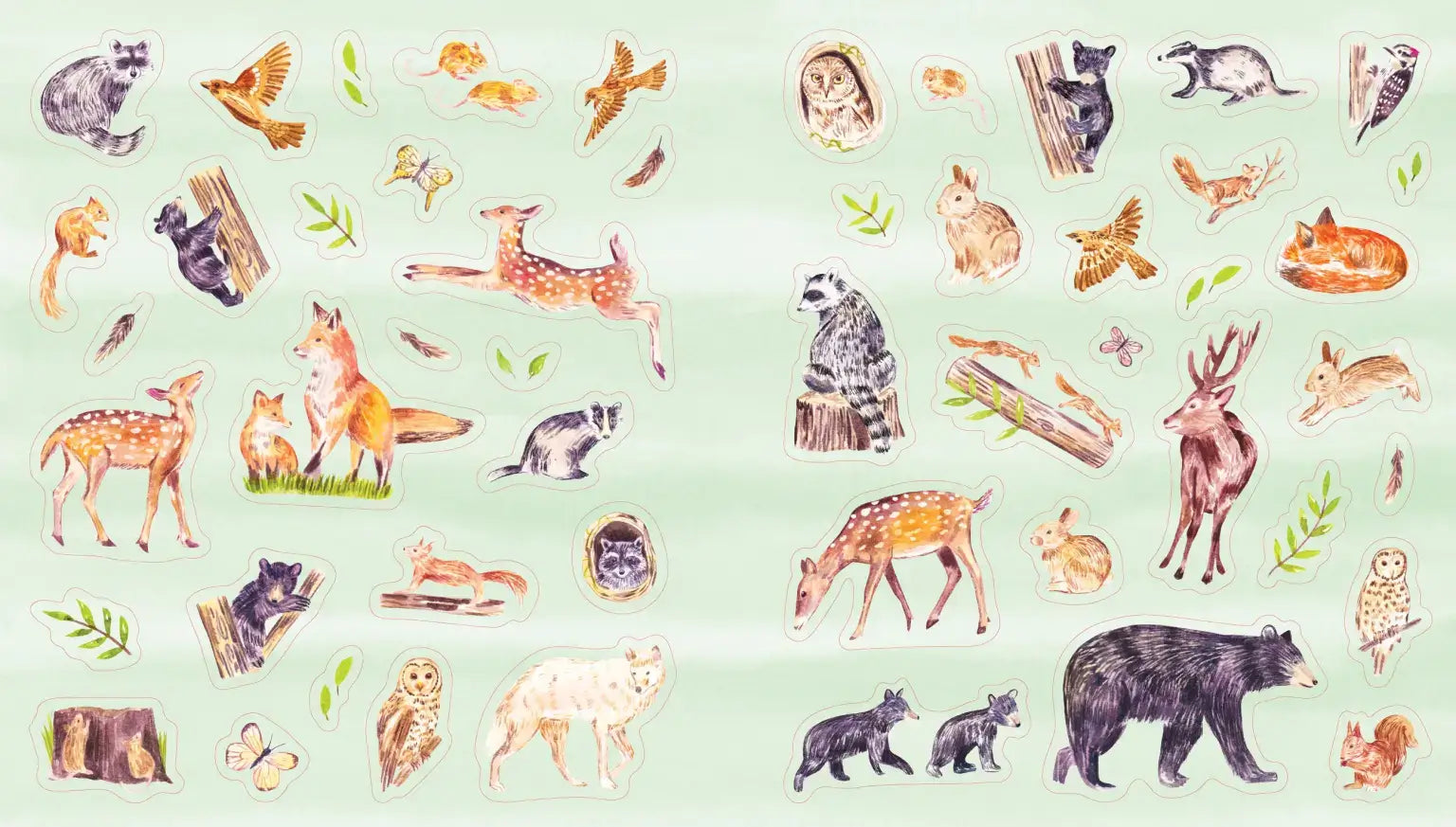 Collection of various animal illustrations on a light green background