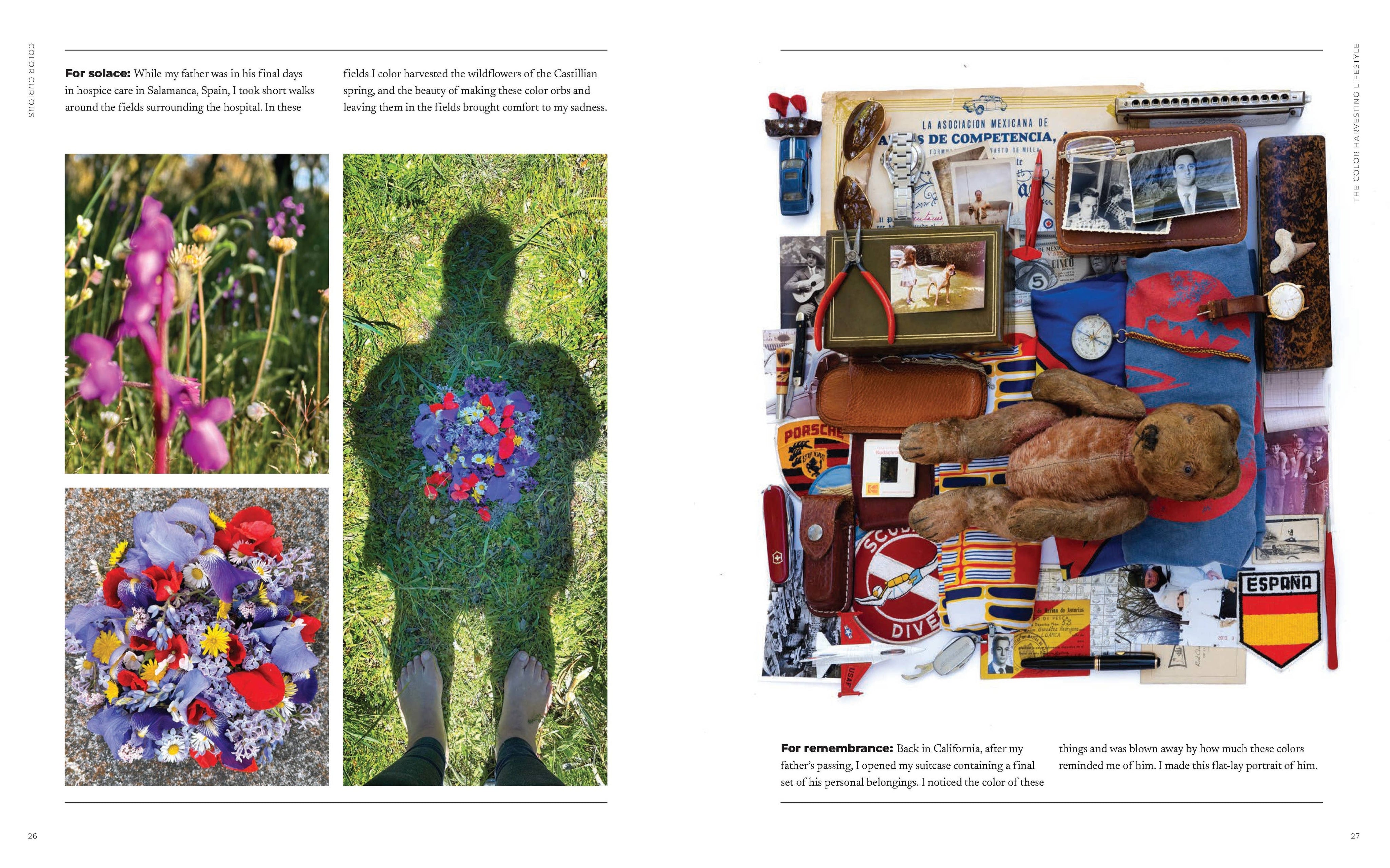 Collage of images including a person with flowers, a teddy bear, and various objects on a wall.