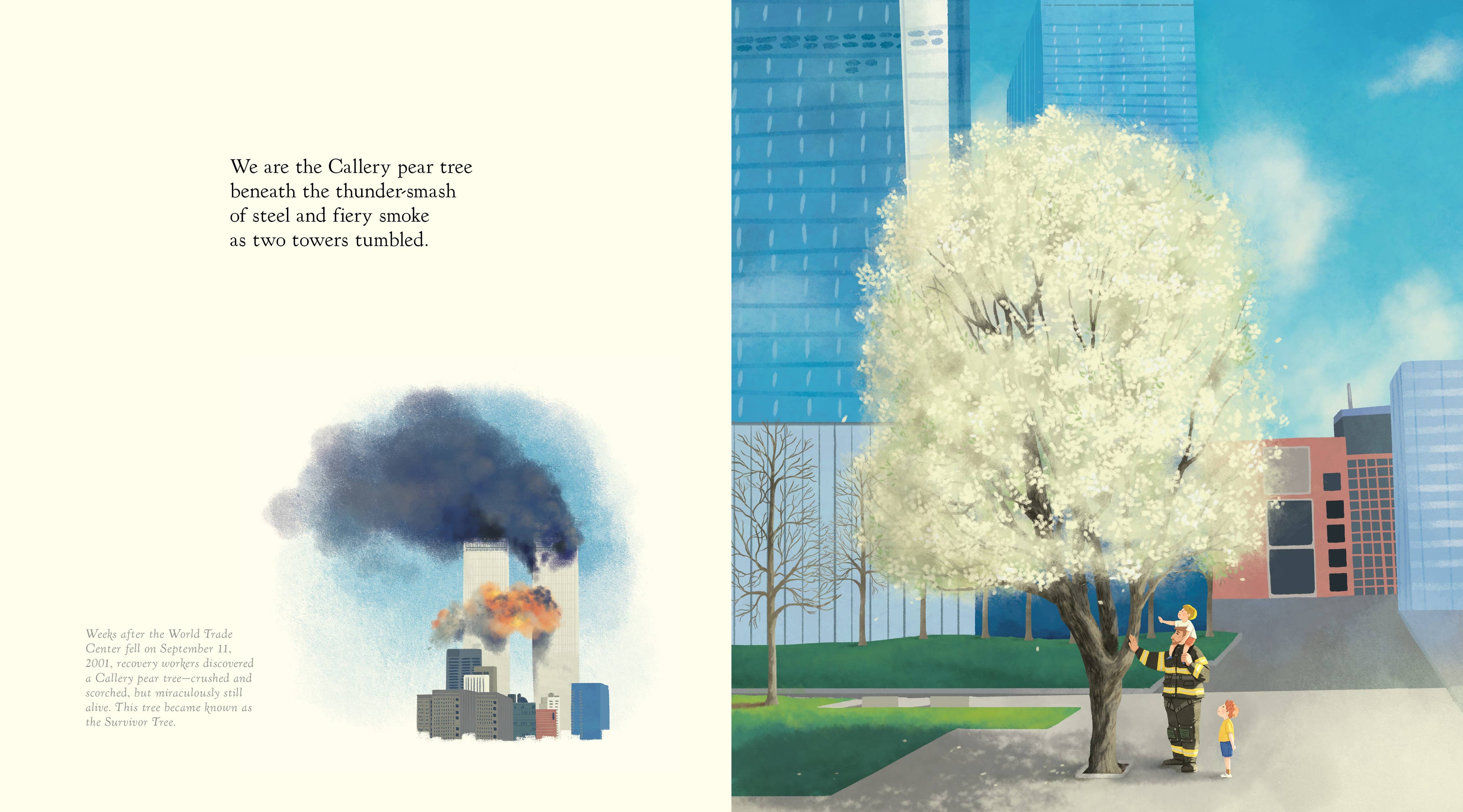 The Witness Trees (Children's Book)