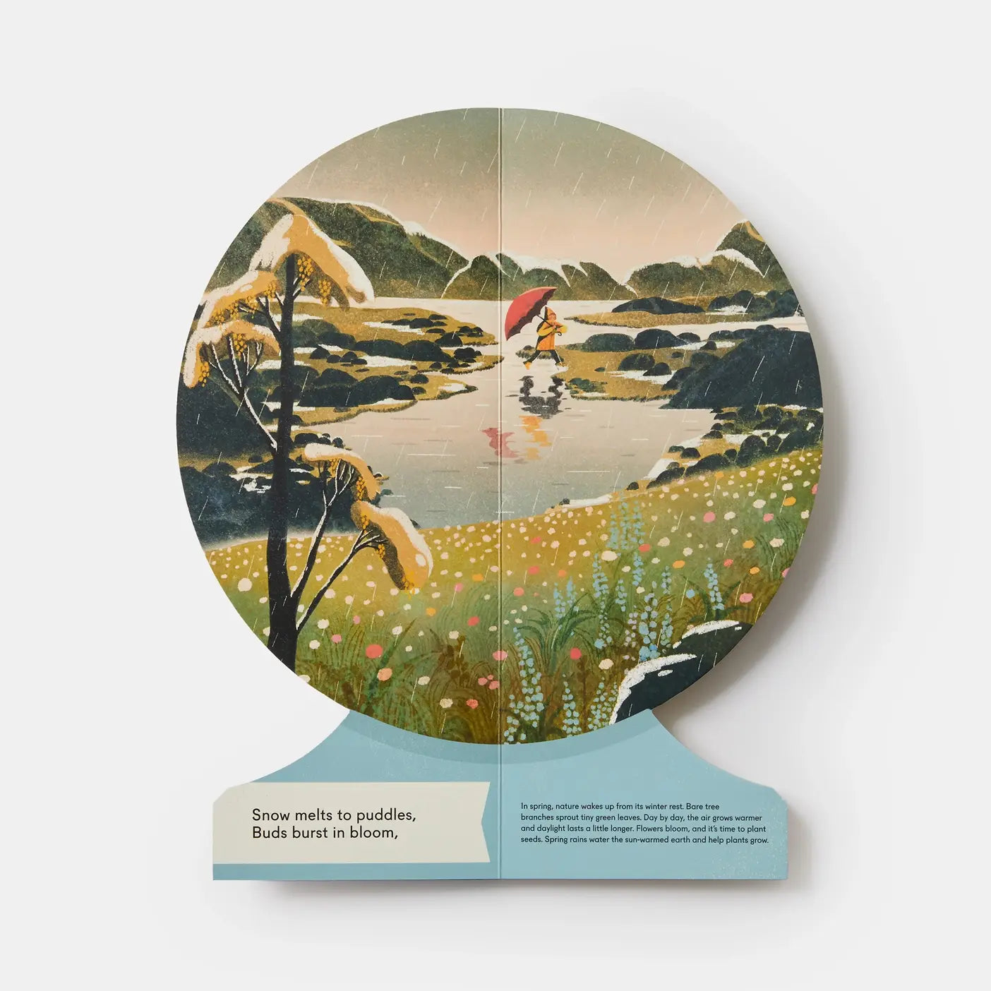 Our Seasons: The World In Winter, Spring, Summer, And Autumn