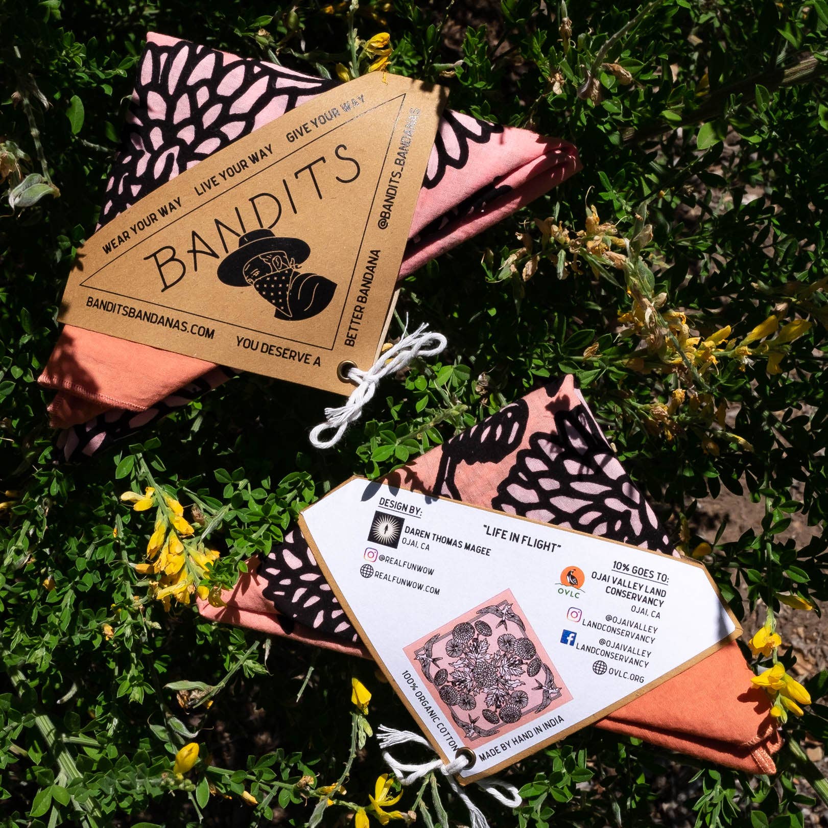 Life In Flight | Bandana