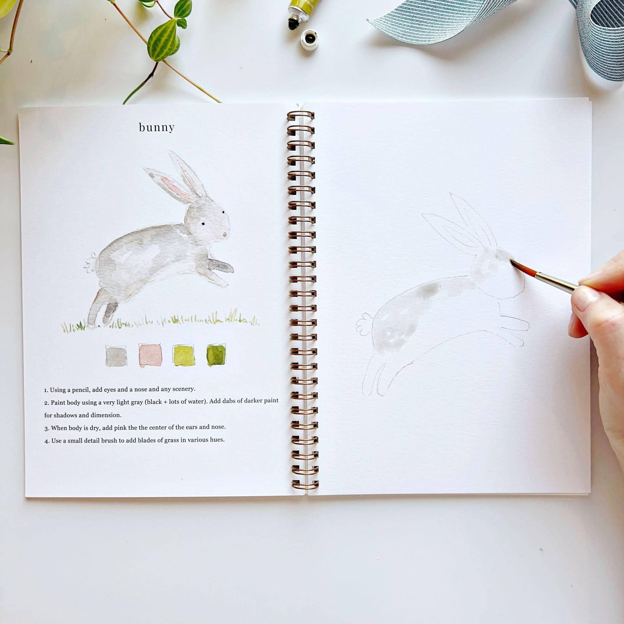 Animals | Watercolor Workbook