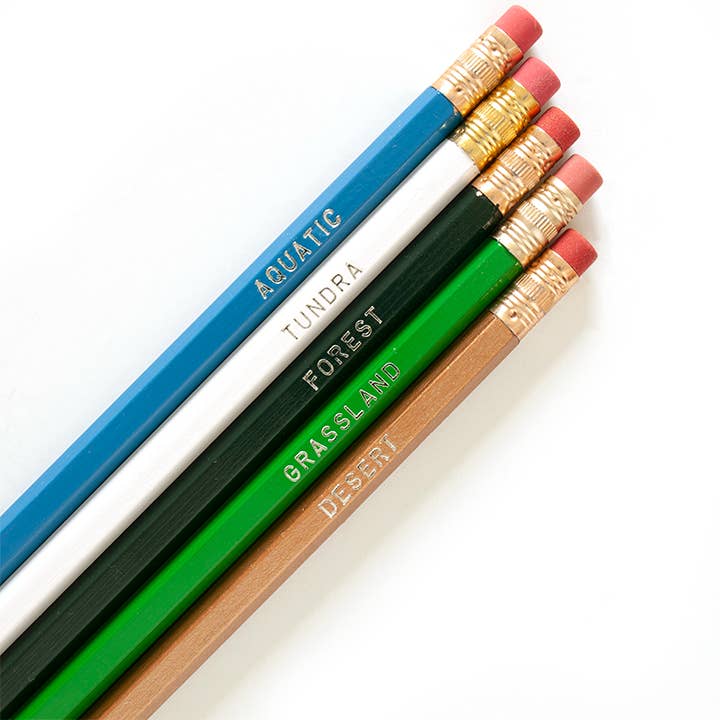 Biomes Pencil Set