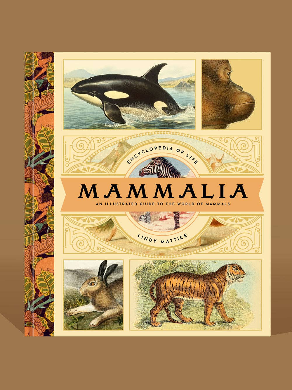 Mammalia (Illustrated Children's Book about Animals)