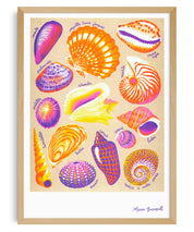Shells A3 Poster - Manon Bucciarelli