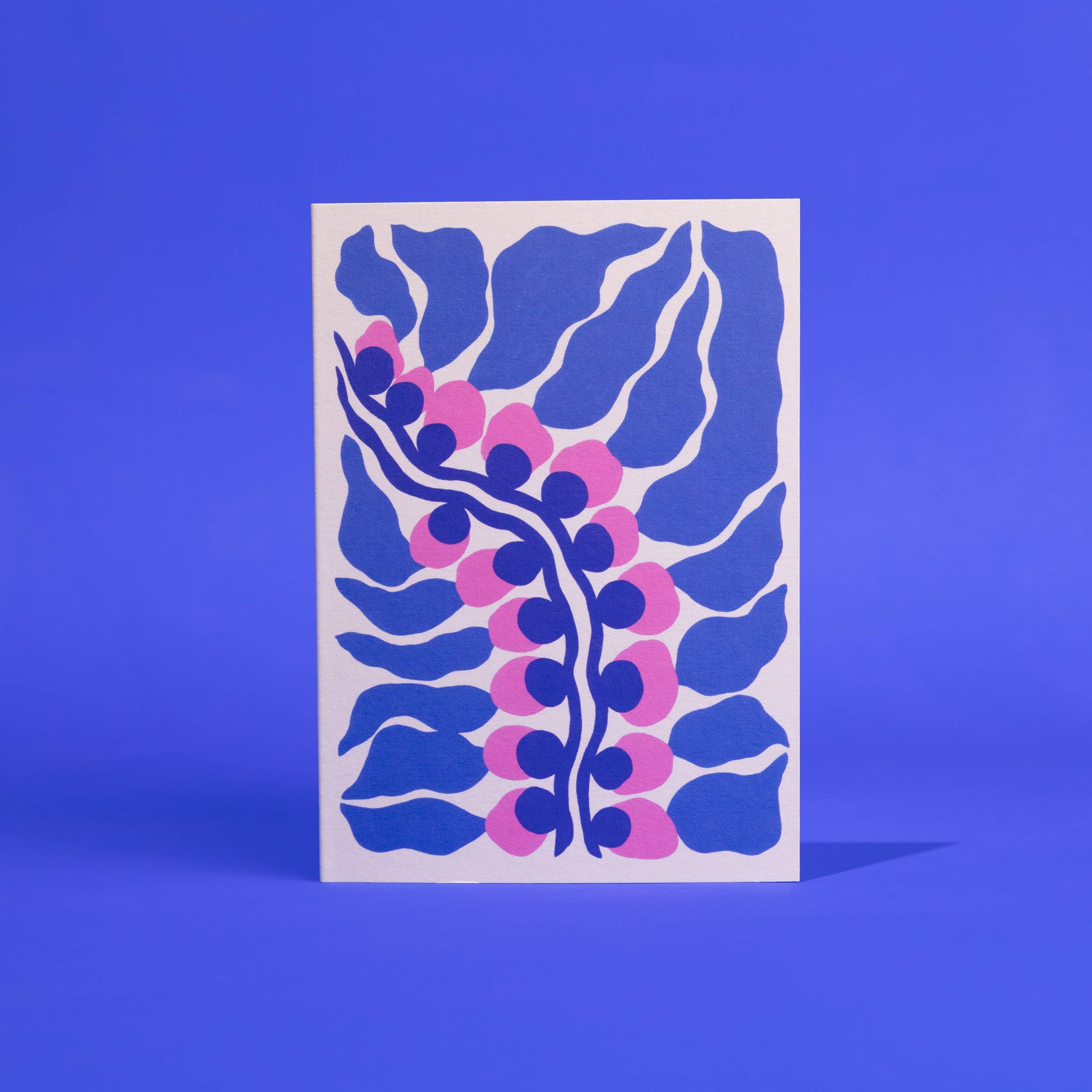 Kelp | Greeting Card
