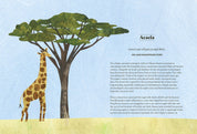 Tree Lore
