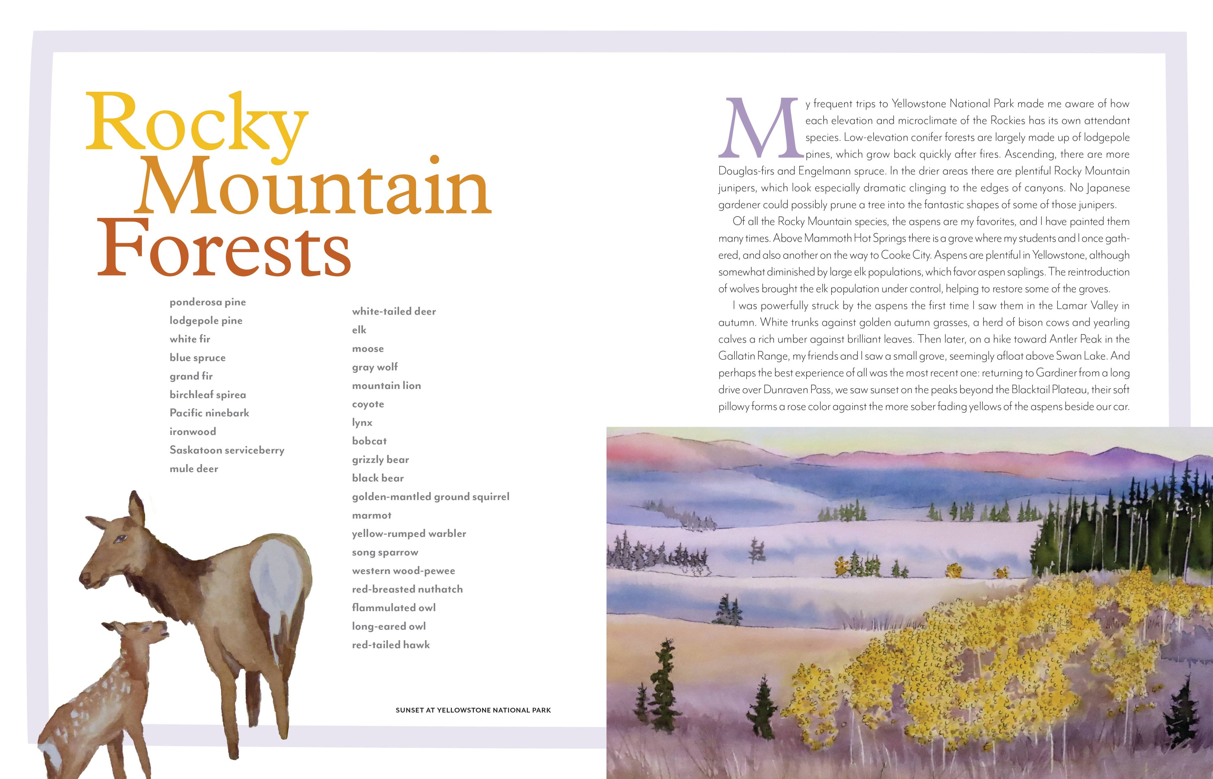 Trees of the West | An Artist's Guide