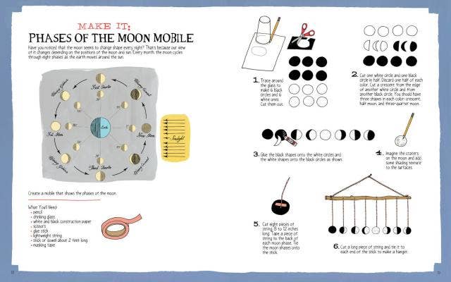 Nature Anatomy | Activity Book