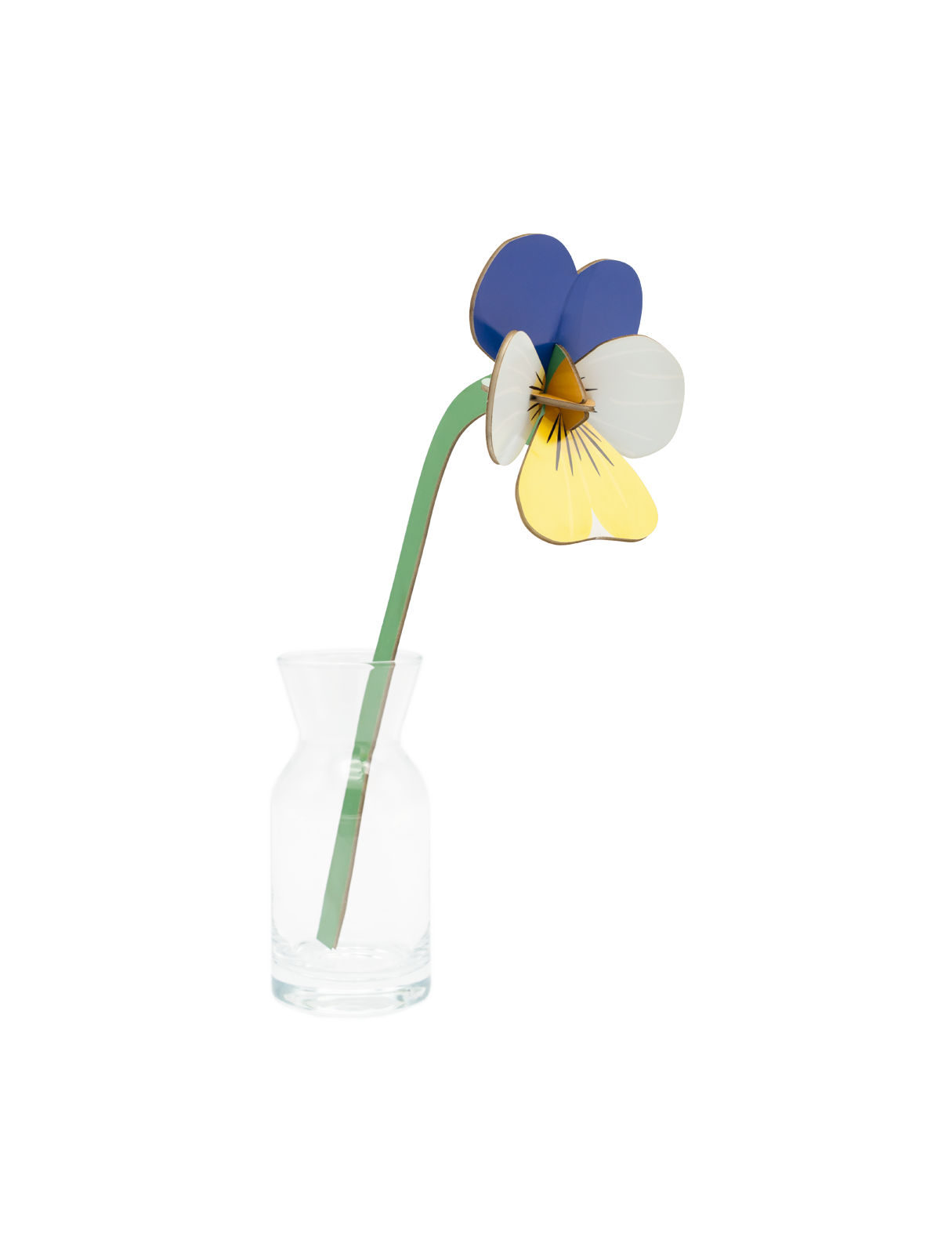 Wild Pansy | DIY 3D Small Everlasting Flower Craft Kit