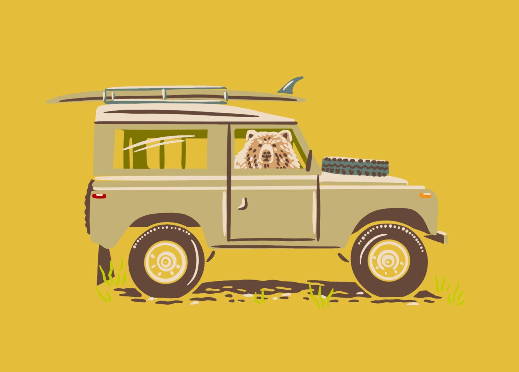 Bear in a Rover Post Card