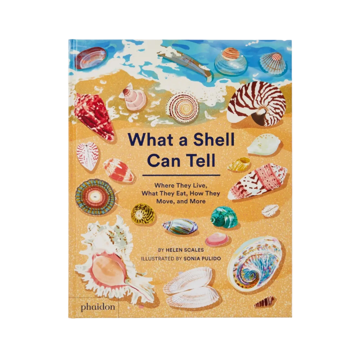 What A Shell Can Tell